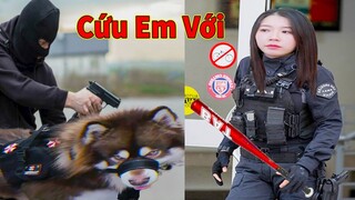 Thú Cưng TV | Gấu Alaska Gia Gia #21 | chó thông minh vui nhộn | Pets funny cute smart dog