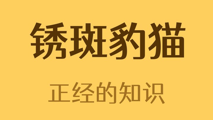 Nhỏ thì dễ thương