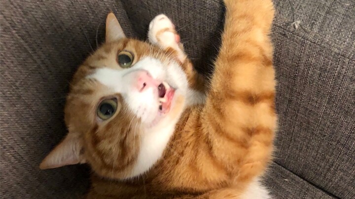 A Mi: “Á… sao người đàn ông này lại thế chứ!!”