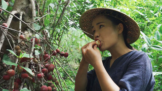 Wild Fruits in Yunnan: Figs Taste like Sweet Strawberries