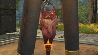 แม้แต่ถ่ายใน APEX
