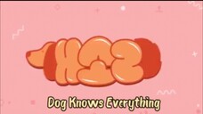 Dog Knows Everything eps 9