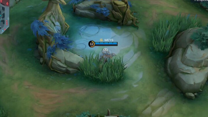 TOP GLOBAL MARTIS STRATEGY