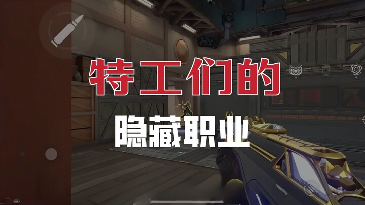 Some Cute Agent Trivia 4