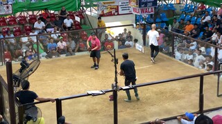 2nd fight ( lose )