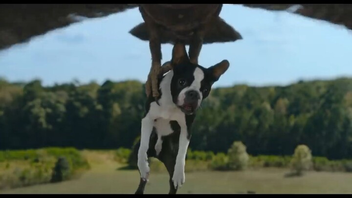 Strays Watch Full Movie:Link in Description