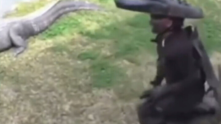 “Mimpiku adalah menjadi buaya sepanjang 7 meter dengan berat 200 kilo yang ganas”