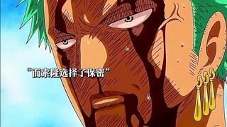 "Không có gì xảy ra cả. Đây là Zoro."