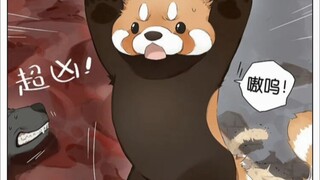 请叫我小熊猫