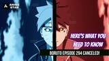 Boruto On Hiatus: When Will Episode 294 Come Out? | AnimeStanアニメスタン