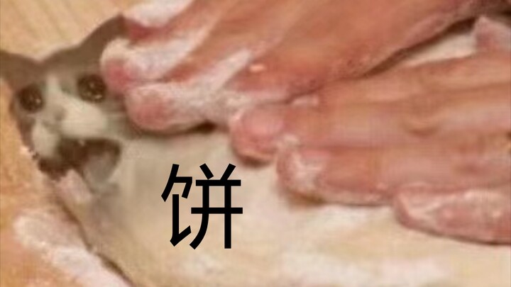 تاريخ تطور بسكويت القطط