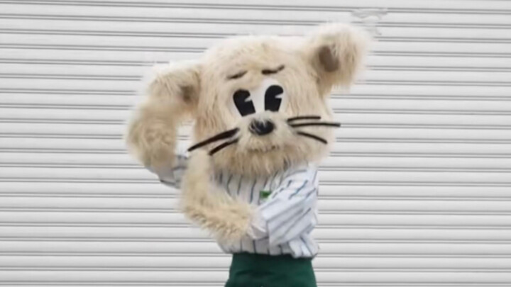 Bahkan tikus kecil pun bisa menari Super Bowl!