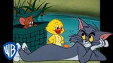 Tom y Jerry en Latino | Preparativos para la primavera | @WBKidsLatino