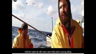 Trãi nghiệm kinh hoàng đi bắt tôm hùm mà suýt nữa mất mạng | review phim