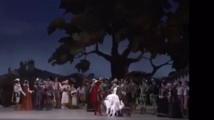 นี่คือสิ่งที่เกิดขึ้นกับสุนัขในการแสดงบัลเล่ต์...