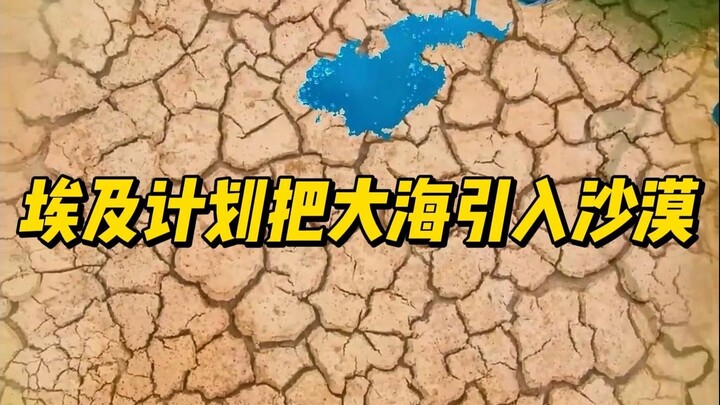 Mesir pernah berencana mengalirkan air laut ke tengah gurun.
