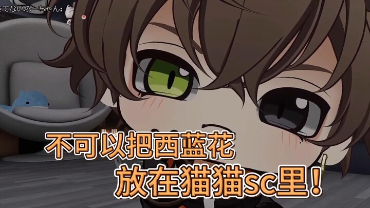 【熟切/Alban】就是你把西蓝花放猫猫sc里了吗！！！