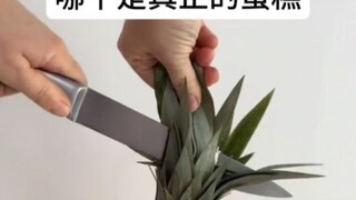 Cake Guessing Challenge 21⃣️