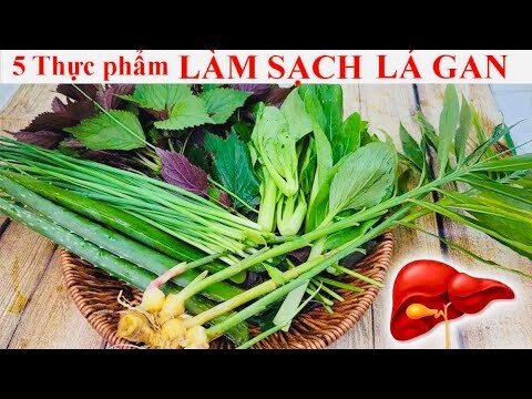 5 THỰC PHẨM GIÚP GIẢI ĐỘC GAN - LÀM SẠCH LÁ GAN NHIỄM MỠ - MÁU NHIỄM MỠ - Biết sớm SỐNG THỌ 100 TUỔI