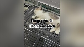 Thương Sáng lắm cô chú ạ. Mùa này chó/mèo dễ bệnh. Cô chú cận thận nha. mèo