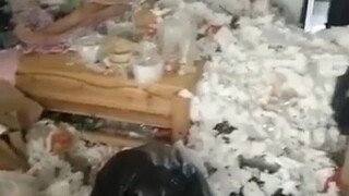 肖战粉丝这两天的状态