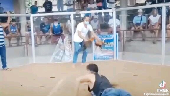 Buhay nang sabongero