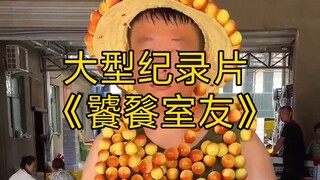 大型纪录片《饕餮室友》持续为您播出！