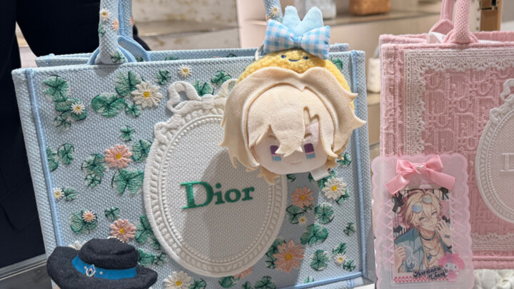 จัดกระเป๋า Dior ให้ซาคิน