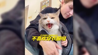 Xiao Mi, I’m going to be fierce‼ ️