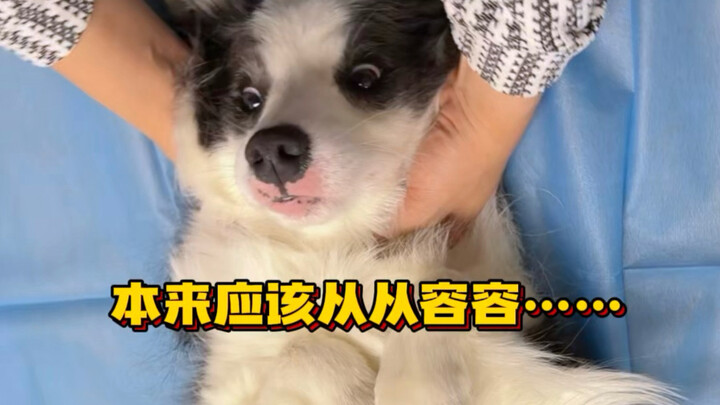 Sulit banget cuma buat periksa sakit!