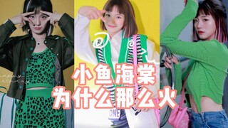 Why is "Fish and海棠" so popular?