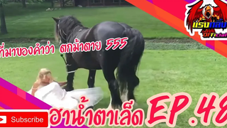 คลิปตลกต่างประเทศ ทั้งขำและสงสาร Best the Fails 2020