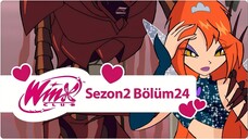 Winx Club - Sezon 2 Bölüm 24 - Darkar'ın Tutsağı