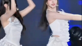 这未免也太张元英了……