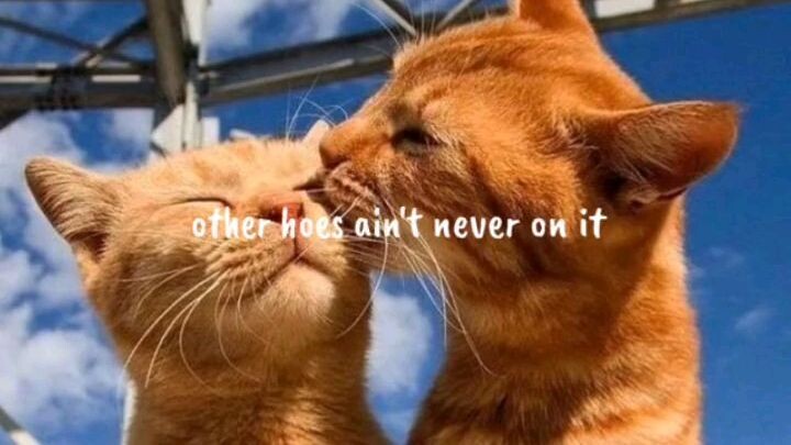 #buti pa yung pusa my love life yung nanonood wala. 🤭