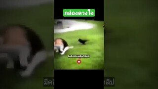 กล่องดวงใจ