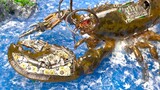 Rekosntruksi ulang lobster yang sudah mati