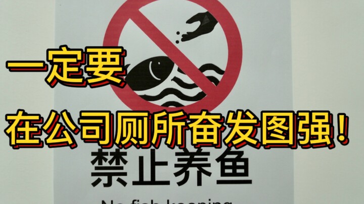 我摸鱼的时候就会摸鱼