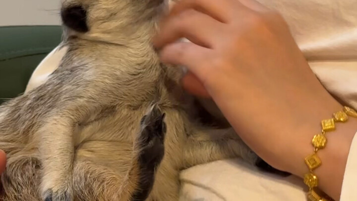 #YabiEmbarrassing #MentalStateOfContemporaryCollegeStudents Hahaha, so funny!