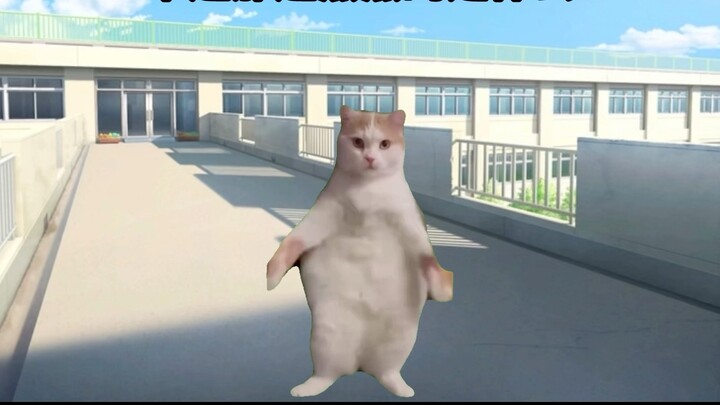 【Cat meme】I was about to jump off the building but was unexpectedly praised by the teacher