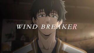 【Windproof Boy】High-energy mixed cut of fighting scenes!!!