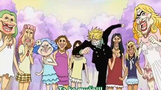 Khoảnh khắc hài hước trong One Piece - Những ngày ác mộng của Sanji  #Animehay #Schooltime