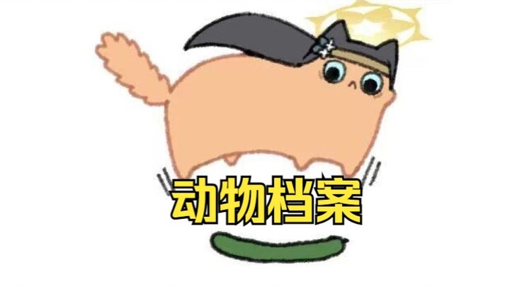 Animal Profiles 41–45