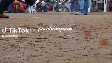 pa champ mga bosing