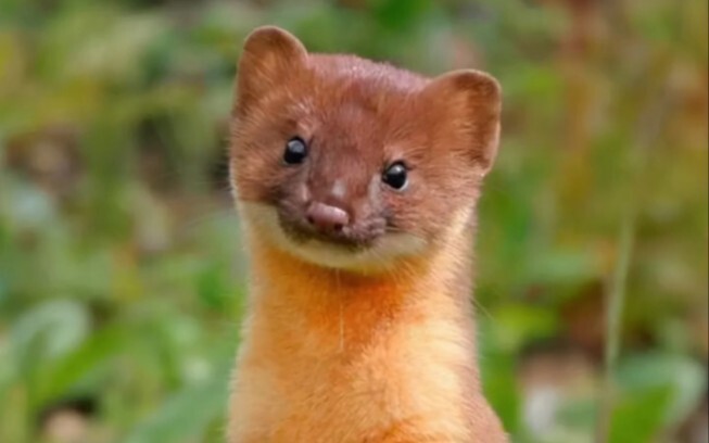 “Hal menarik pertama kali ku bagikan padamu”