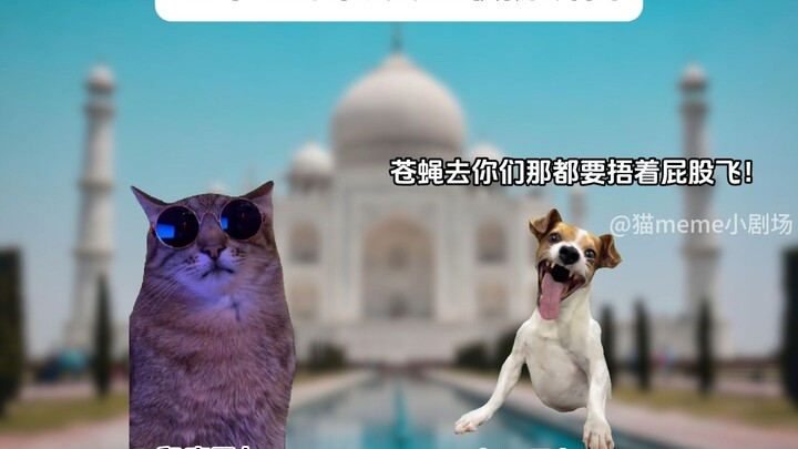 Moments When Netizens From Around the World Lose It