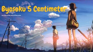[AMV] Byosoku 5 Centimeter | Wonderfull | I Can't Fly