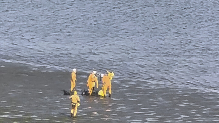Ada Korban Jiwa di Dekat Bandara Haneda Tokyo!!!