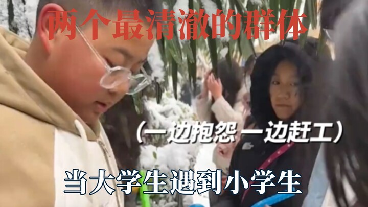 此刻两个最清澈的群体相遇了，小孩哥出门玩雪变成了流水线