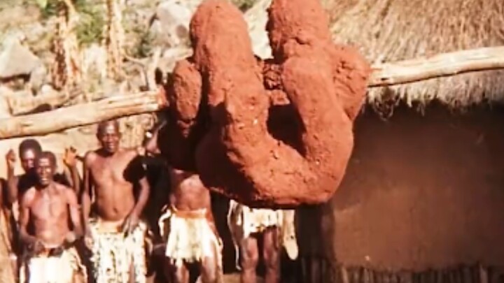 ชายคนหนึ่งขโมยงาช้าง จึงถูกทำเป็นไก่ขอทานแล้วเผาทั้งเป็นในกองไฟลุกโชน